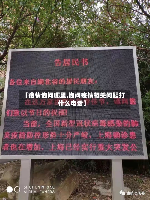 【疫情询问哪里,询问疫情相关问题打什么电话】