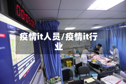 疫情it人员/疫情it行业