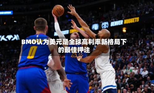 BMO认为美元是全球高利率新格局下的最佳押注