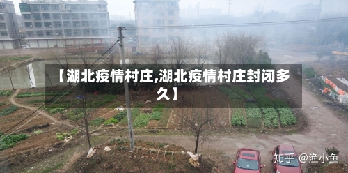 【湖北疫情村庄,湖北疫情村庄封闭多久】