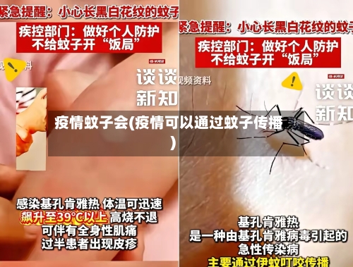 疫情蚊子会(疫情可以通过蚊子传播)