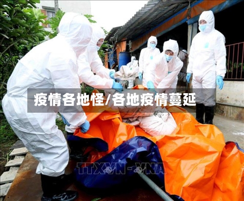 疫情各地怪/各地疫情蔓延