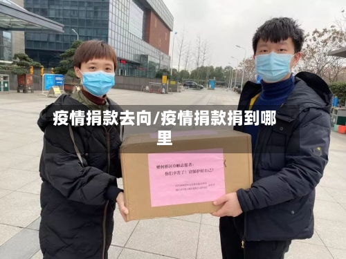 疫情捐款去向/疫情捐款捐到哪里