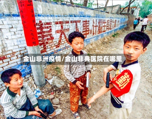金山非洲疫情/金山非典医院在哪里