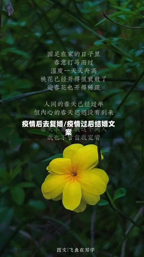 疫情后去复婚/疫情过后结婚文案