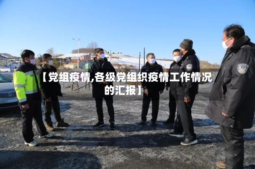 【党组疫情,各级党组织疫情工作情况的汇报】