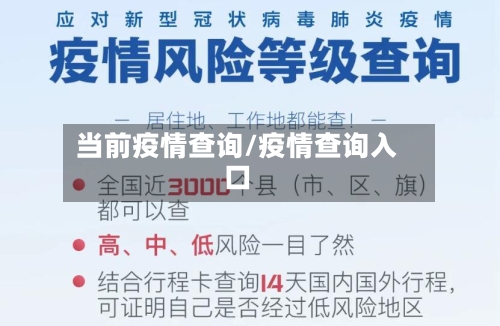 当前疫情查询/疫情查询入口