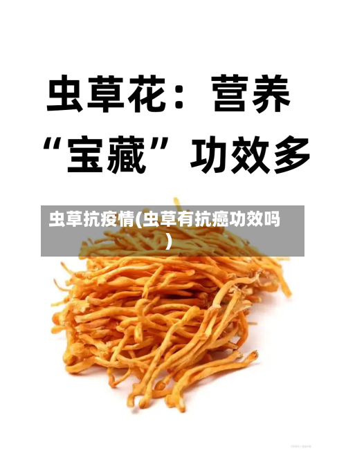 虫草抗疫情(虫草有抗癌功效吗)