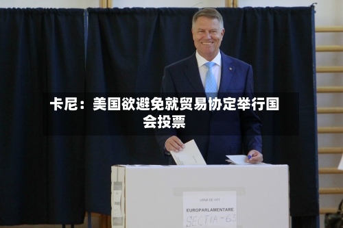 卡尼:美国欲避免就贸易协定举行国会投票