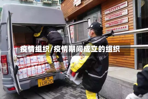 疫情组织/疫情期间成立的组织