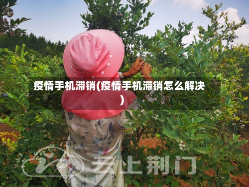疫情手机滞销(疫情手机滞销怎么解决)
