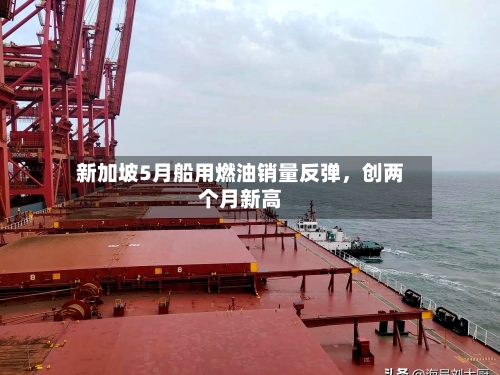 新加坡5月船用燃油销量反弹，创两个月新高