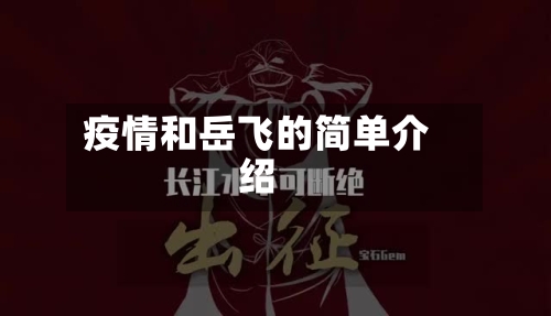 疫情和岳飞的简单介绍
