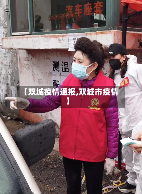 【双城疫情通报,双城市疫情】