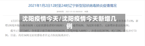 沈阳疫情今天/沈阳疫情今天新增几例