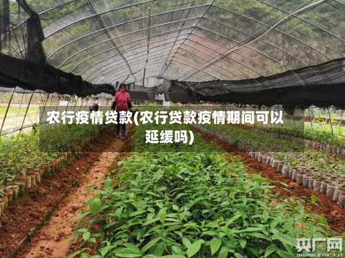 农行疫情贷款(农行贷款疫情期间可以延缓吗)