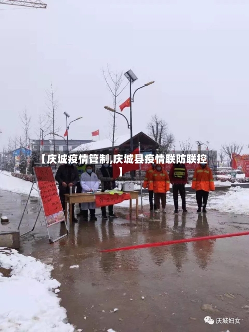 【庆城疫情管制,庆城县疫情联防联控】