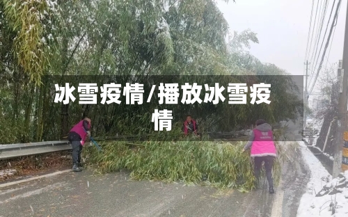 冰雪疫情/播放冰雪疫情