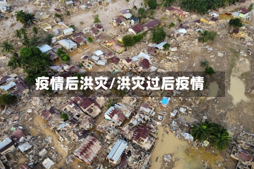 疫情后洪灾/洪灾过后疫情