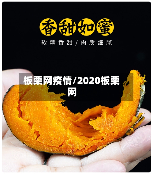 板栗网疫情/2020板栗网