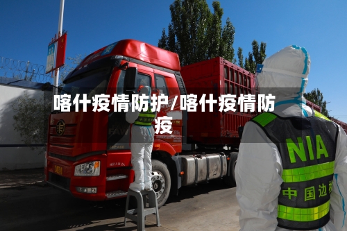 喀什疫情防护/喀什疫情防疫