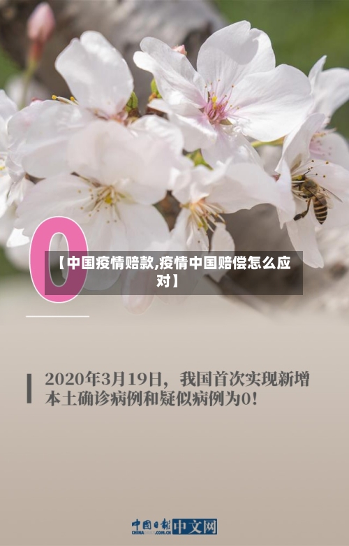 【中国疫情赔款,疫情中国赔偿怎么应对】
