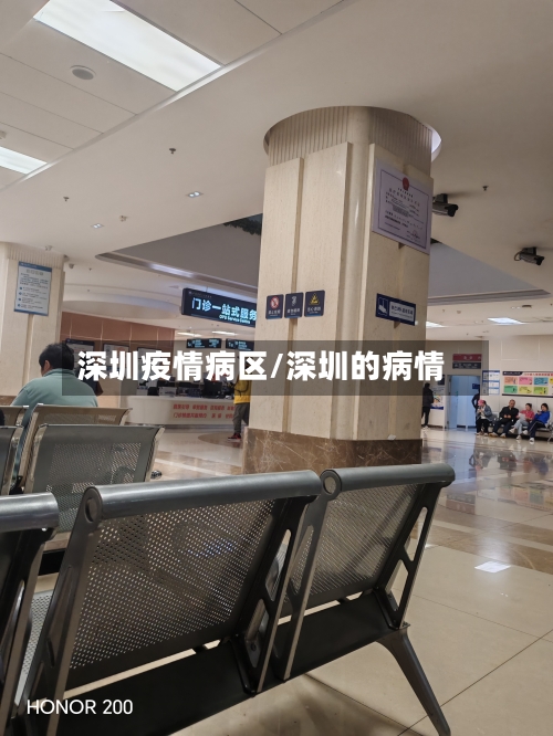 深圳疫情病区/深圳的病情