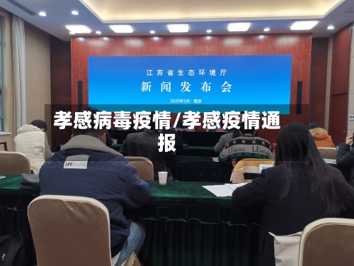 孝感病毒疫情/孝感疫情通报