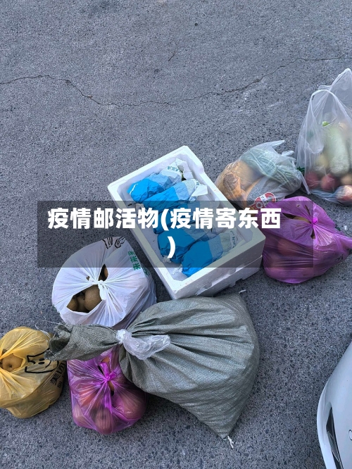 疫情邮活物(疫情寄东西)