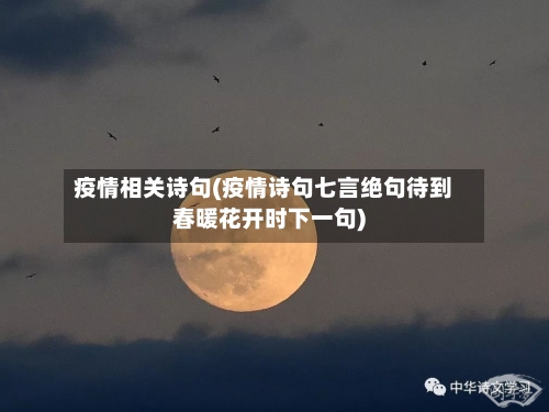 疫情相关诗句(疫情诗句七言绝句待到春暖花开时下一句)