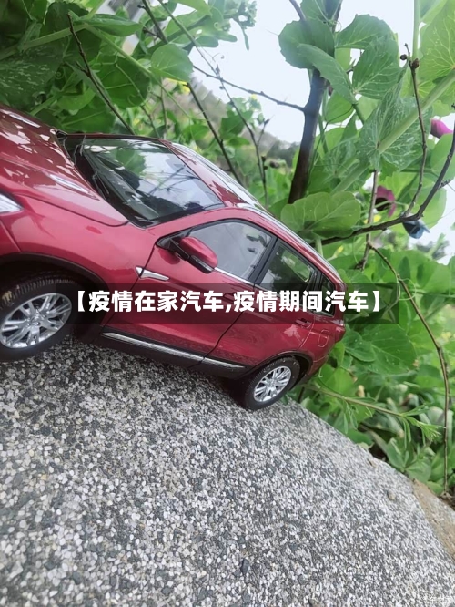 【疫情在家汽车,疫情期间汽车】