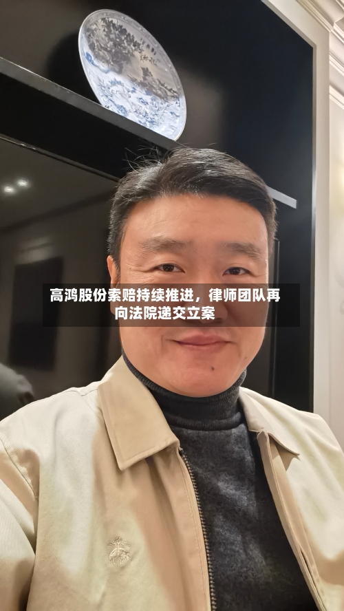 高鸿股份索赔持续推进，律师团队再向法院递交立案