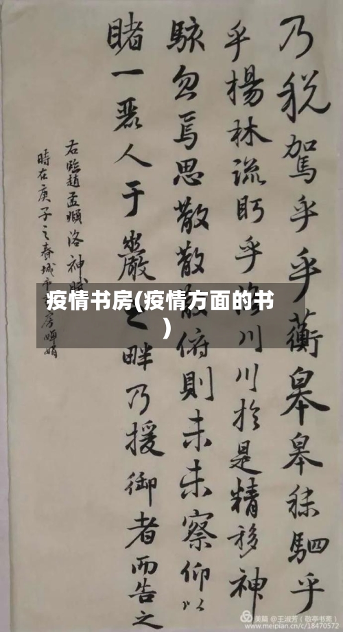 疫情书房(疫情方面的书)