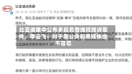 比亚迪集中公布多起名誉维权胜诉案件，李云飞：对于黑公关和黑媒体绝不容忍