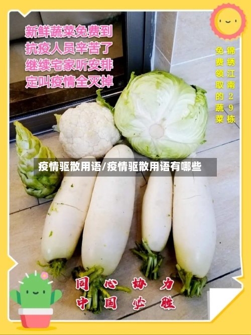 疫情驱散用语/疫情驱散用语有哪些