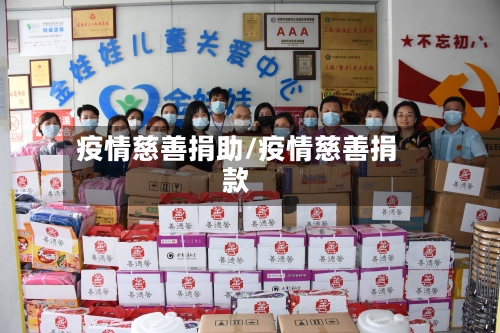 疫情慈善捐助/疫情慈善捐款