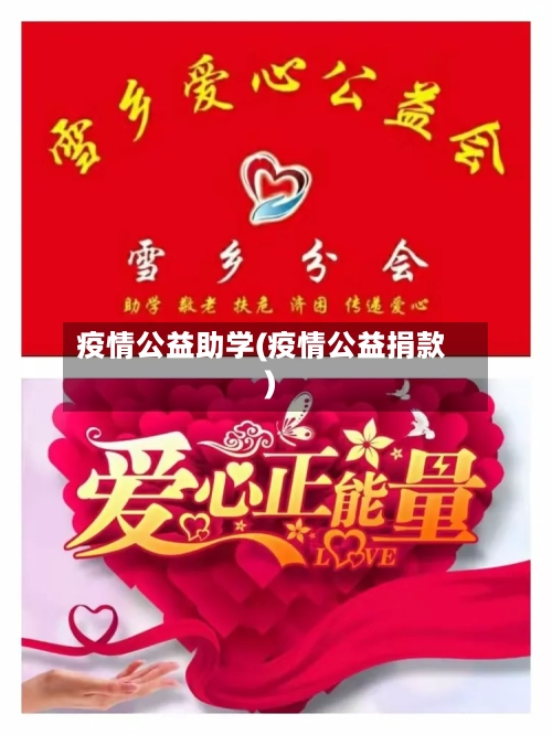 疫情公益助学(疫情公益捐款)