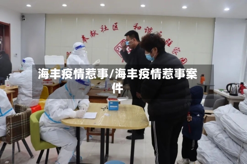 海丰疫情惹事/海丰疫情惹事案件