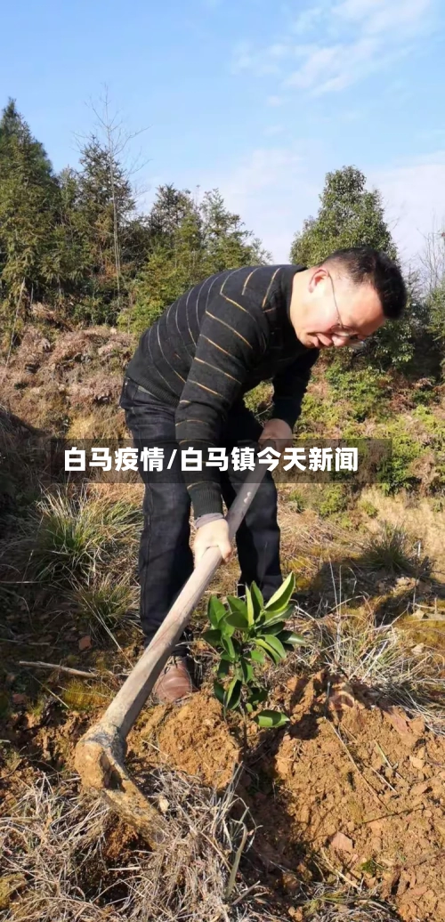 白马疫情/白马镇今天新闻-第1张图片