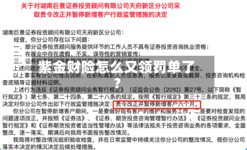 紫金财险怎么又领罚单了？