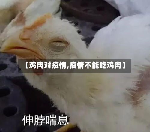 【鸡肉对疫情,疫情不能吃鸡肉】