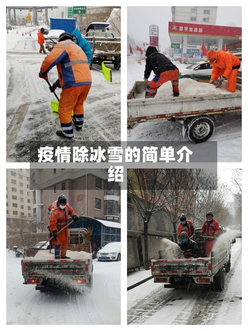 疫情除冰雪的简单介绍