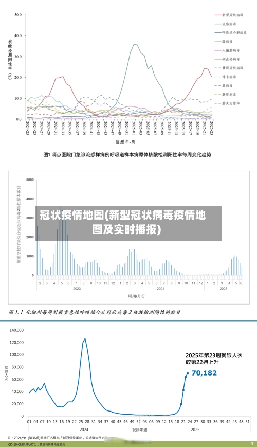 冠状疫情地图(新型冠状病毒疫情地图及实时播报)