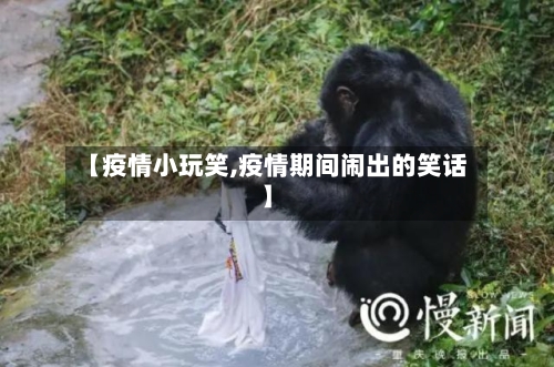 【疫情小玩笑,疫情期间闹出的笑话】