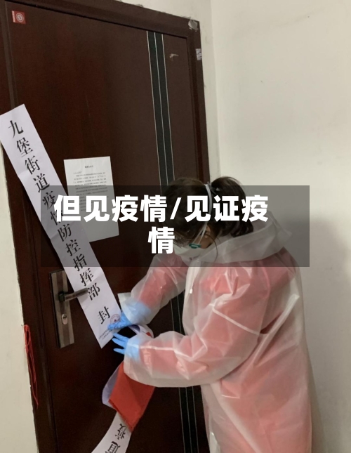 但见疫情/见证疫情
