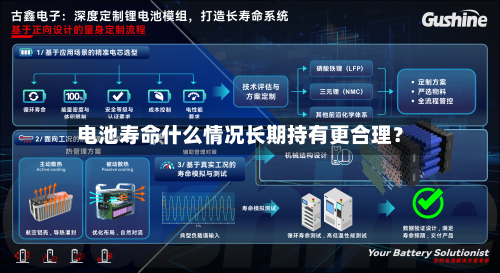电池寿命什么情况长期持有更合理？