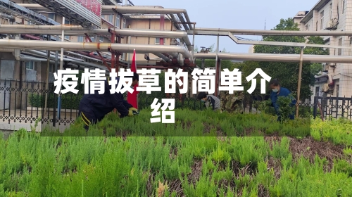 疫情拔草的简单介绍