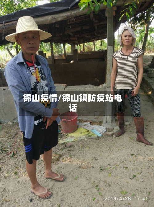 锦山疫情/锦山镇防疫站电话