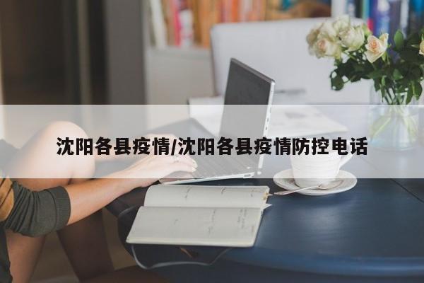 沈阳各县疫情/沈阳各县疫情防控电话