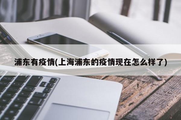 浦东有疫情(上海浦东的疫情现在怎么样了)